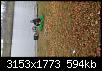     . 

:	DSC_0839.jpg 
:	432 
:	593.7  
ID:	88572