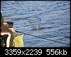     . 

:	_DSC0257.jpg 
:	242 
:	556.0  
ID:	88766
