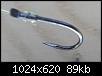     . 

:	FILE0058.JPG 
:	1088 
:	88.8  
ID:	89538
