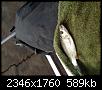     . 

:	image.jpg 
:	402 
:	589.5  
ID:	92174