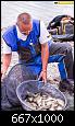     . 

:	IMG_5277.jpg 
:	675 
:	76.7  
ID:	94826