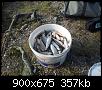     . 

:	20140912_175342.jpg 
:	172 
:	357.3  
ID:	96416