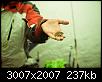     . 

:	DSC_9561.jpg 
:	153 
:	237.0  
ID:	96845