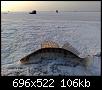     . 

:	170320121145_.jpg 
:	585 
:	105.9  
ID:	67124