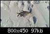     . 

:	YDXJ0913.mp4_snapshot_00.10_[2016.03.29_15.49.02]_новый р&#1.jpg 
:	649 
:	97.5  
ID:	109974