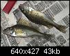     . 

:	crw_6959.jpg 
:	2614 
:	42.8  
ID:	2363