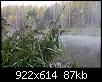     . 

:	CRW_4645_resize.jpg 
:	622 
:	86.6  
ID:	13681