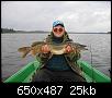     . 

:	pike.jpg 
:	564 
:	24.7  
ID:	13194