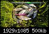     . 

:	1659338957086.jpg 
:	59 
:	500.4  
ID:	179168