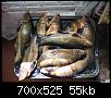     . 

:	tench.jpg 
:	1163 
:	55.4  
ID:	4301