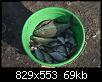     . 

:	CRW_4485_resize.jpg 
:	695 
:	68.7  
ID:	13094