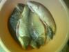     . 

:	Image005.jpg 
:	544 
:	34.6  
ID:	6186