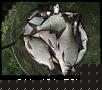     . 

:	2007, 203.jpg 
:	1322 
:	73.3  
ID:	21744