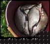     . 

:	2007, 208.jpg 
:	1393 
:	61.8  
ID:	21746