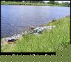     . 

:	2008_06190092.JPG 
:	568 
:	93.6  
ID:	29898