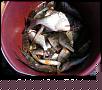     . 

:	2008_06190087.JPG 
:	657 
:	58.9  
ID:	29899