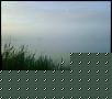     . 

:	-00221.jpg 
:	214 
:	54.9  
ID:	35358