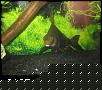     . 

:	IMG_0790.jpg 
:	180 
:	546.1  
ID:	68733