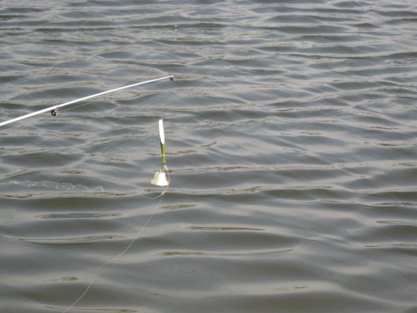 IMG 0452