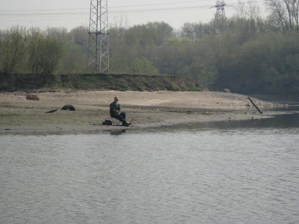 IMG 0454