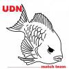 UDN