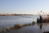 IMG_734112