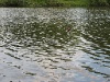 IMG_0934