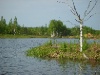 S8001930