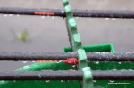 DSC_9975.NEF.jpg