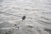 IMG_1473