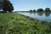 DSC02005