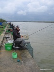IMG_0020.JPG