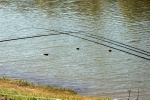 DSC_9622.jpg
