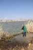 IMG_711812
