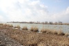 IMG_706912