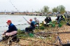 MVN_1826