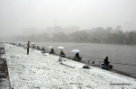 DSC_0036.NEF.jpg