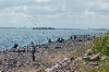 DSC_6420