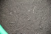 IMG_62478