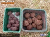 08bolasengodobaja