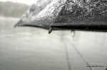 DSC_0006.NEF.jpg