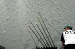 DSC_0689.jpg