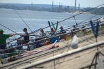 DSC_1652.jpg