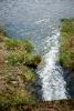 IMG_1835