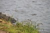 IMG_1978