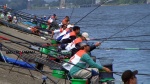PIC_0087.JPG