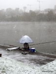 DSC_0039.NEF.jpg
