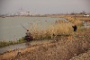IMG_7900