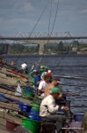 DSC_8585.NEF.jpg