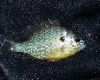P6130026